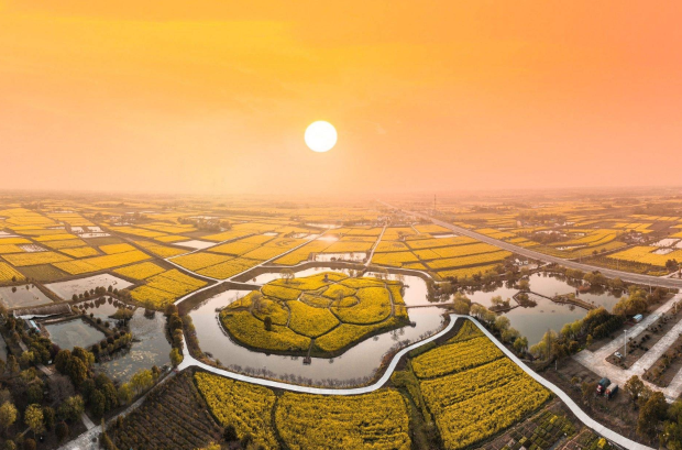 花漾湖北春日限定湖北绝美油菜花海鉴赏攻略来了