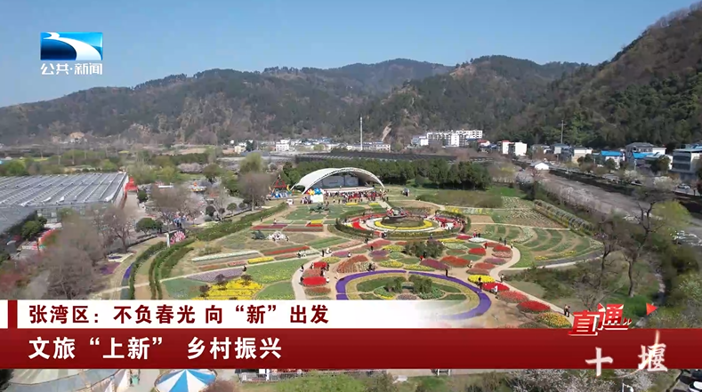 直通十堰张湾区不负春光向新出发