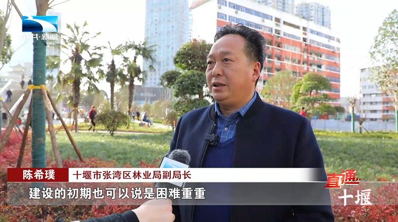 直通十堰张湾区不负春光向新出发