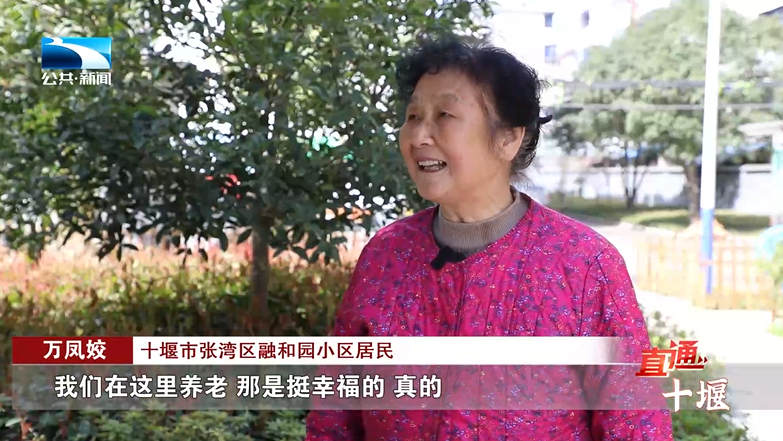 直通十堰张湾区不负春光向新出发