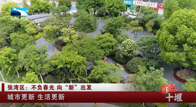 直通十堰张湾区不负春光向新出发