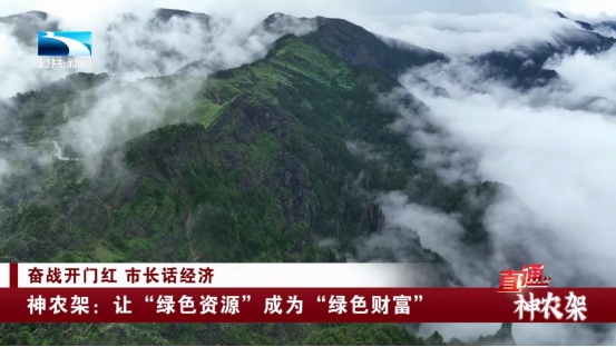 直通神农架让绿色资源成为绿色财富