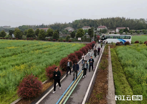 赤壁市赵李桥镇羊楼洞,羊楼洞港小流域综合治理试点项目,通山县南林桥