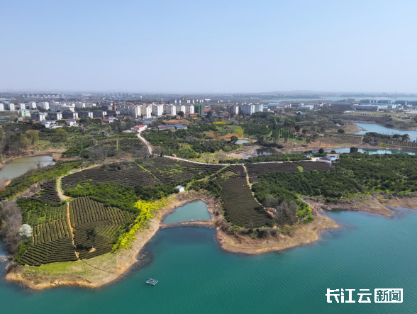 漳河一库好水向未来