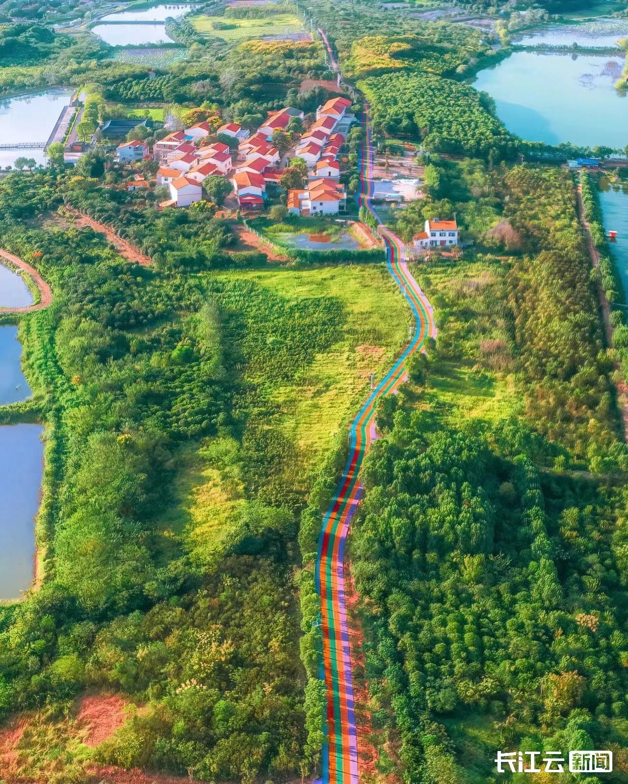 踏青正当时武汉江夏这条彩虹公路美出圈