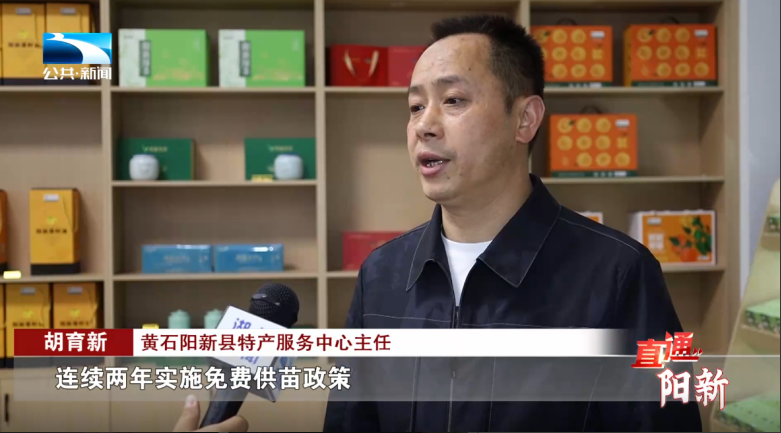 壮大特色产业培育阳新味道