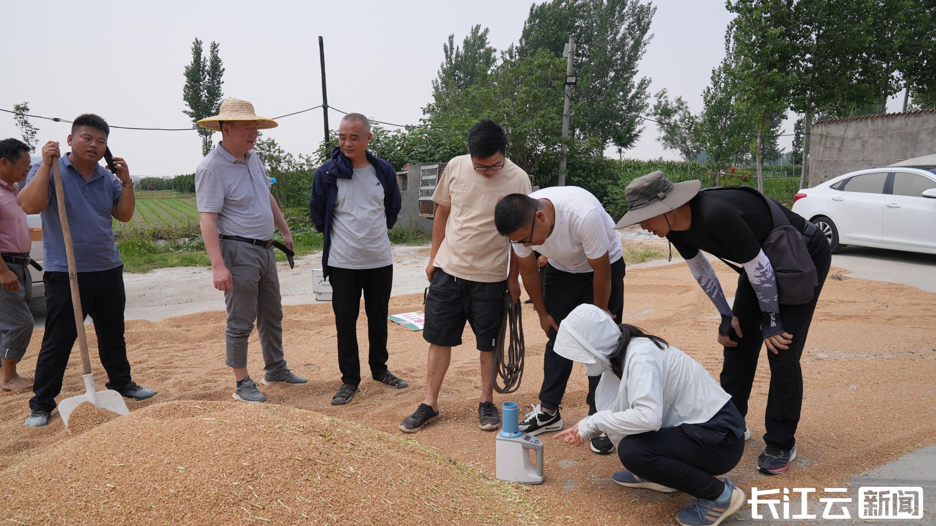 襄阳宜城:小麦实现21连丰 良种良法引领农业高质量发展