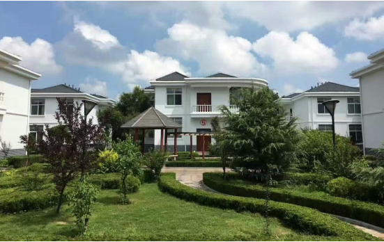 浮来青的"茶旅情缘"丨从"新"出发,向"绿"而行