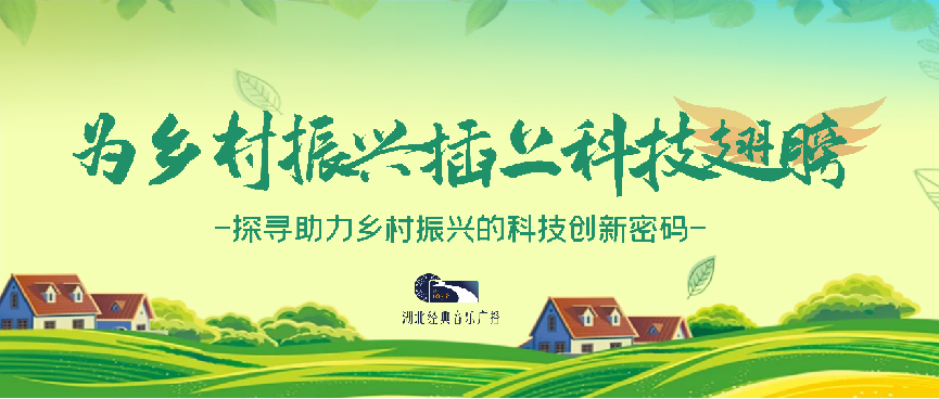 油牡丹套种秋霜梨 大悟农业生产新模式成果喜人_长江云 - 湖北网络