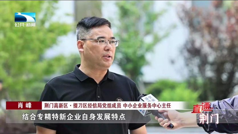 直通荆门 | 东宝区:"三大水系"一体化治理 建设水美乡村