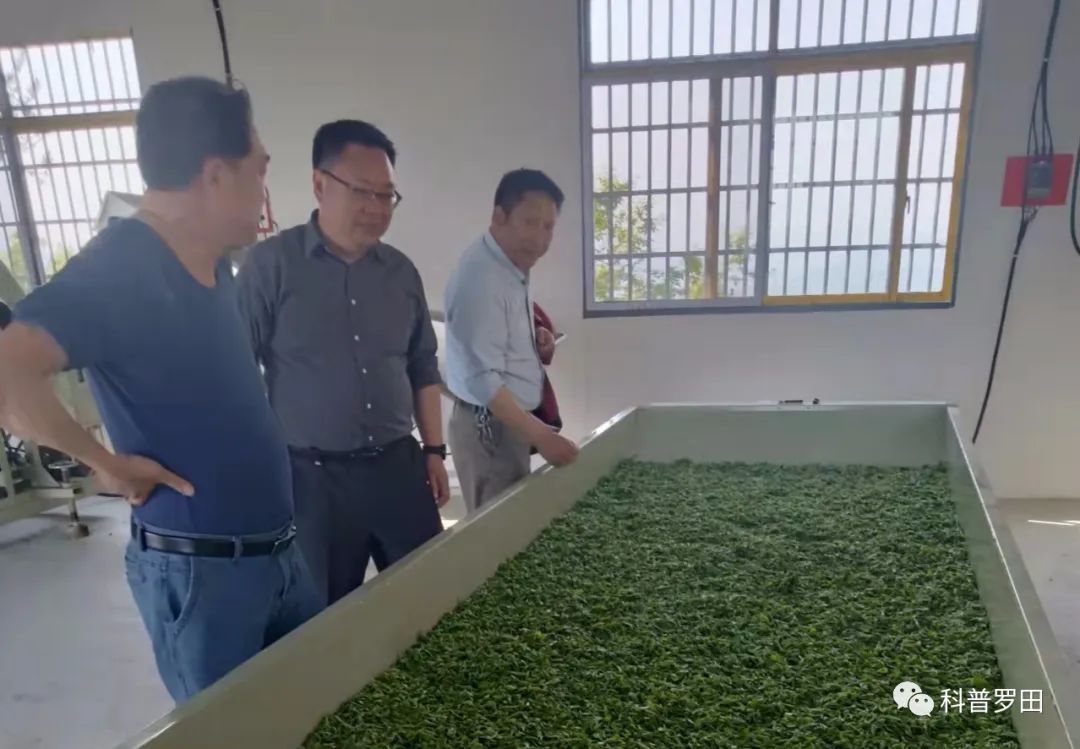 罗田县科协开展“三科三助”工作调研活动