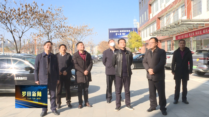 省科协副主席朱志斌来罗田县调研