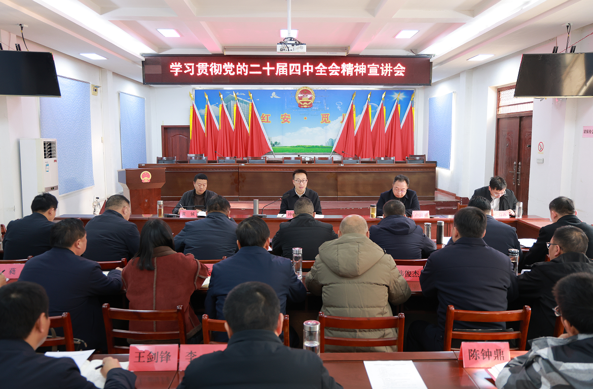 钟林到觅儿寺镇宣讲党的二十届四中全会精神