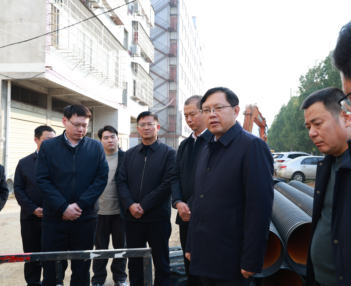 胡广督办倒水河水质提升工作