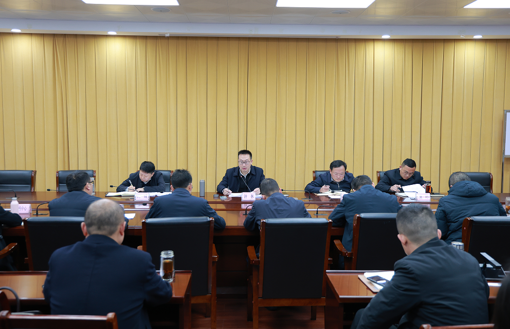 钟林督办重点项目建设