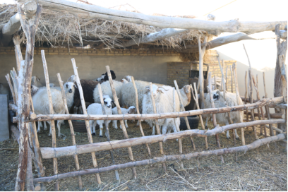 QQ图片20170214094229