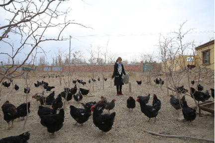 QQ图片20170214094257