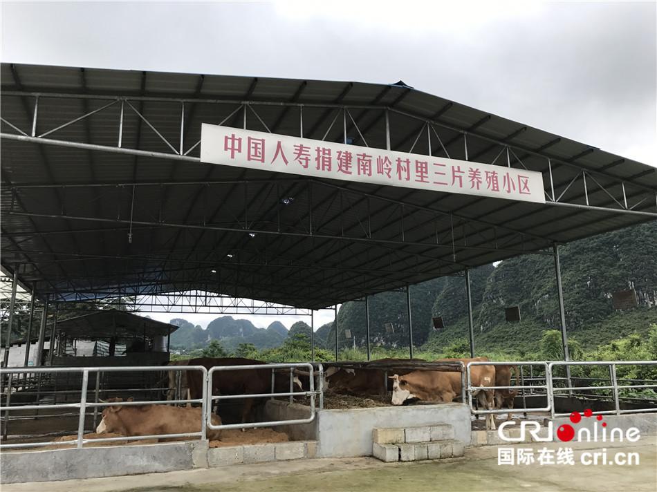 图片默认标题_fororder_--172.100.100.3-temp-9500041-1-9500041_1_1_909b6dac-455f-4b29-af87-2d8bcc86c510