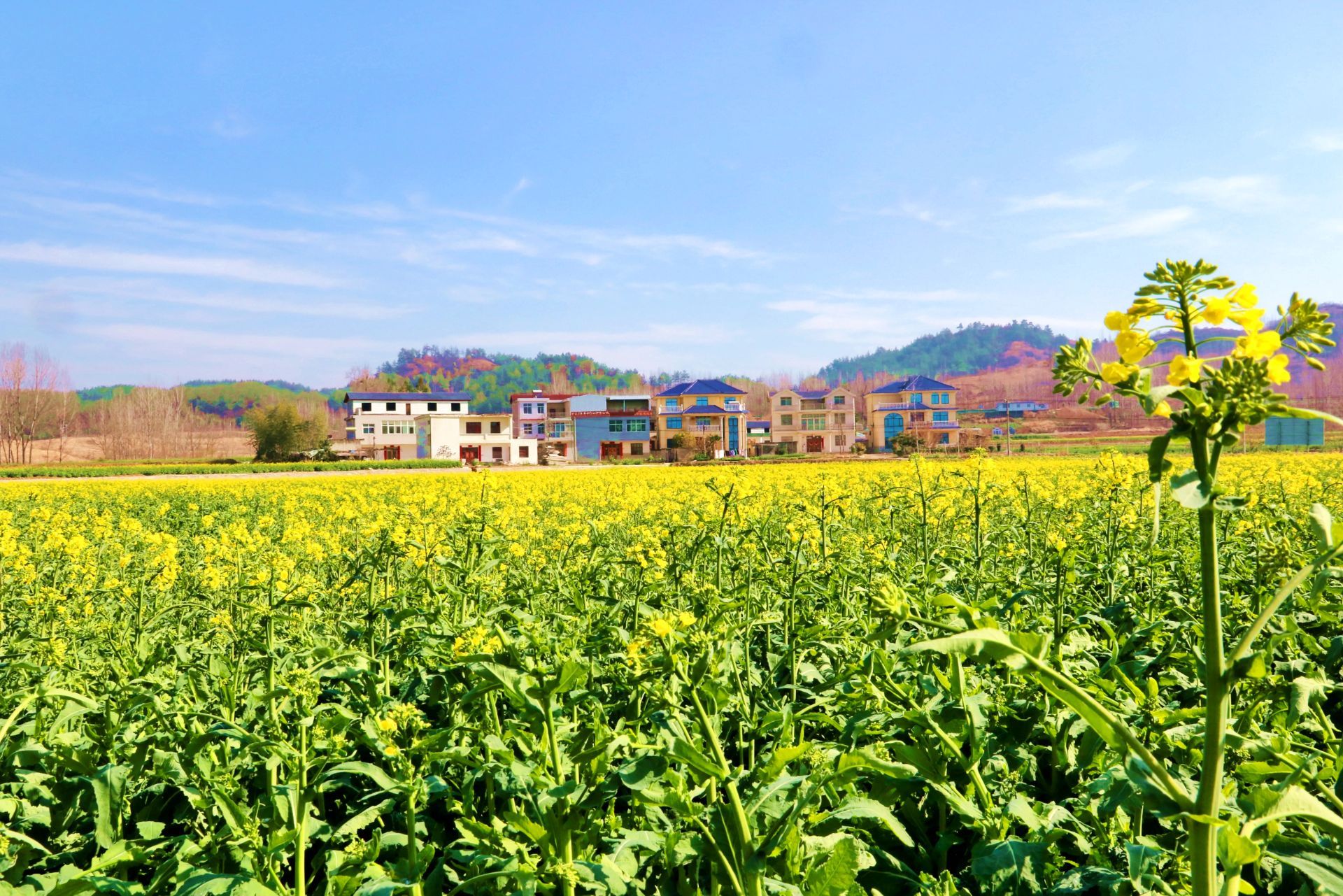 田间课堂送技术