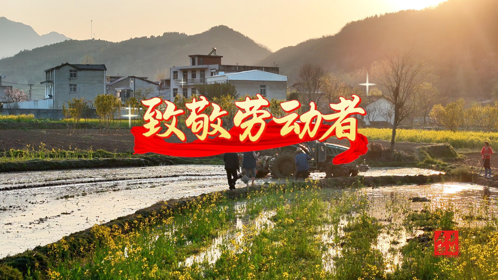 房县：五一，向劳动者致敬