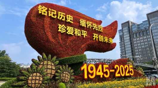 时政新闻眼丨从“上合时间”到“胜利日时间”，元首外交释放哪些重要信息？