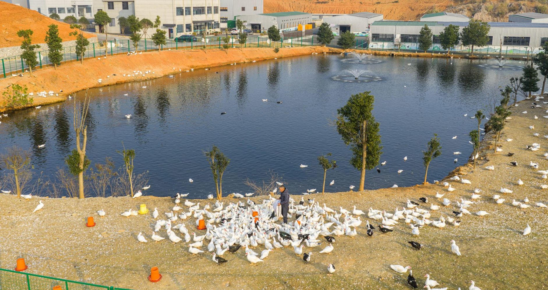 1+1+1>3！解码“黄石三鲜”的品牌崛起之路