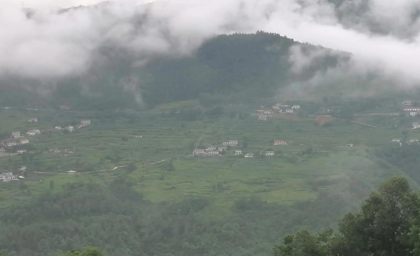 马年说“马” | 白马潭和香草坪