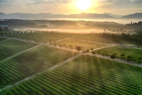 房县新闻20260319