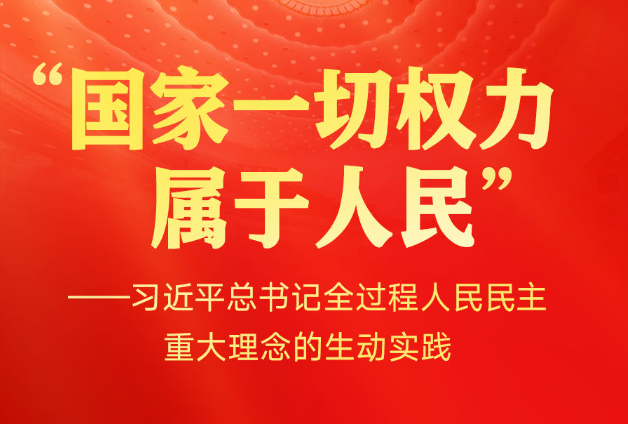 习近平总书记全过程人民民主重大理念的生动实践