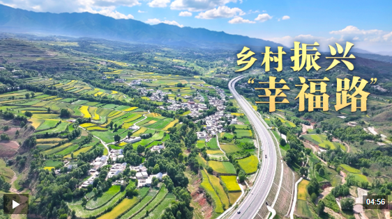 总书记的关心事丨乡村振兴“幸福路”