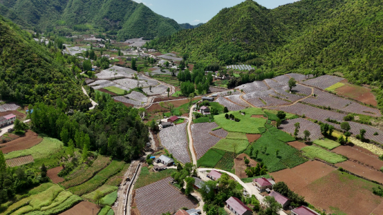 房县新闻20260428