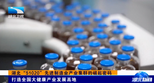 湖北“51020”先进制造业产业集群的崛起密码 | 打造全国大健康产业发展高地