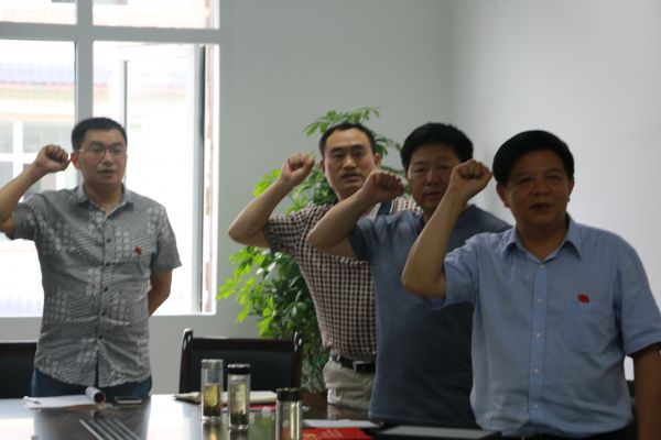 图为党组书记廖于实、副主任何毅、“四办”专职副主任冉茂琼等党员正在重温入党誓词
