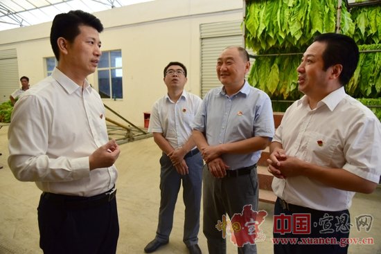 刘智勇深入椒园、晓关调研烟叶生产情况