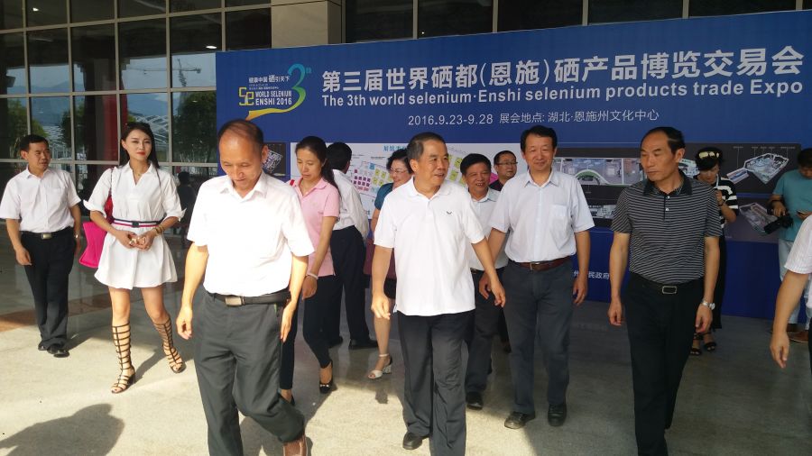陈改户一行调研恩施州文化中心