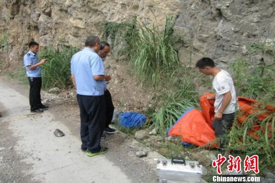 湖北男子摘马蜂窝欲卖钱 遭蜂群袭击坠崖身亡