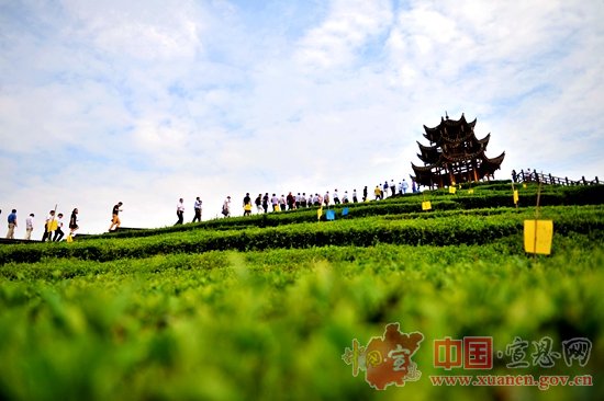 【中秋恳亲大会】首届中秋恳亲招商引资洽谈会成功签约52亿元