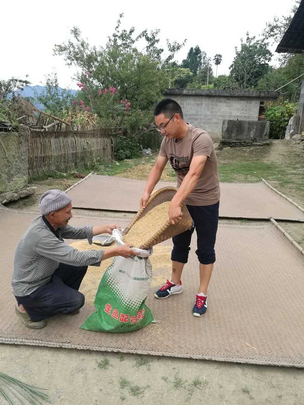州文体新广局广电科杨智友帮助农户干活