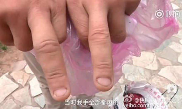 aac0554ea275d87_w600_h360.jpg