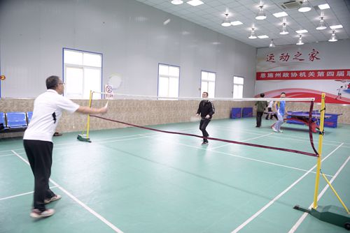 羽毛球比赛