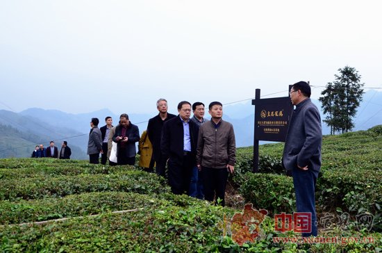 伍家台贡茶农业综合标准化示范区通过考核验收