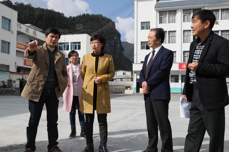 州政协副主席刘晓冰督查我县教育工作