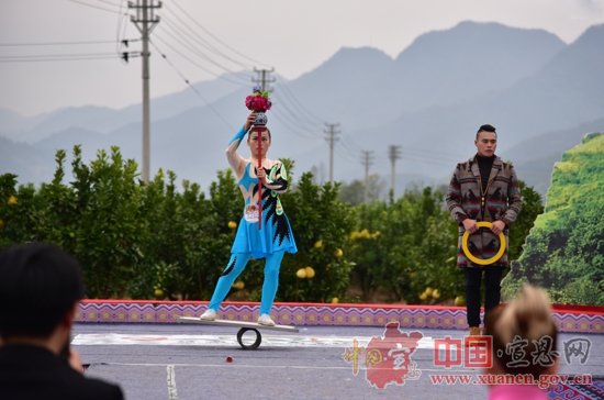 “诗画苗乡·高罗柚惑”宣恩县第四届贡水白柚采摘节顺利举行