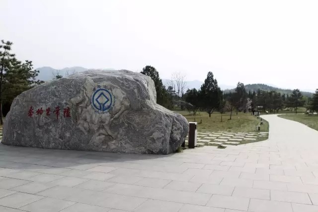考古最新发现：秦始皇陵里竟然有个“动物世界”