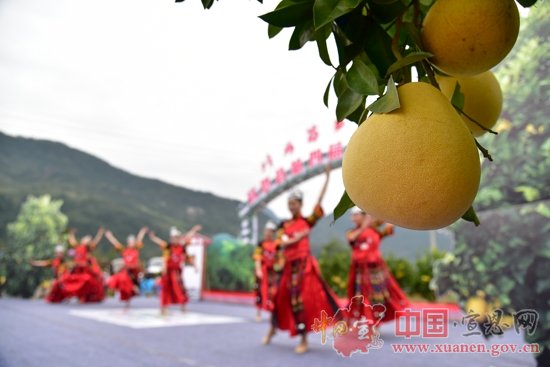“诗画苗乡·高罗柚惑”宣恩县第四届贡水白柚采摘节顺利举行