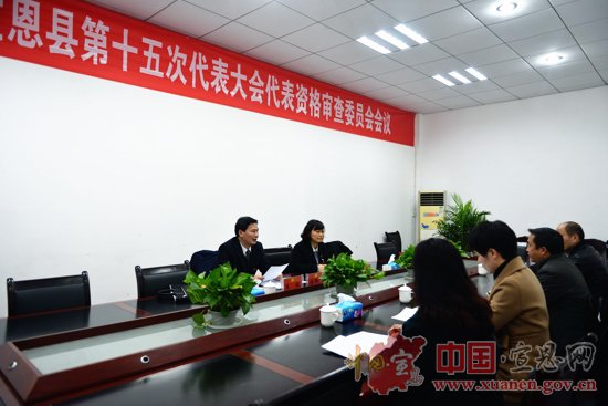 【聚焦党代会】县第十五次党代会代表资格审查委员会会议召开