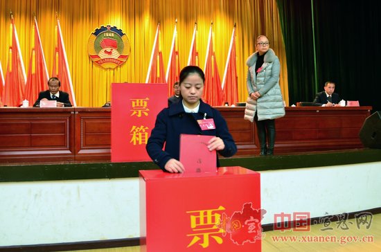 【两会进行时】县政协九届一次会议召开第二次全体会议（选举大会）