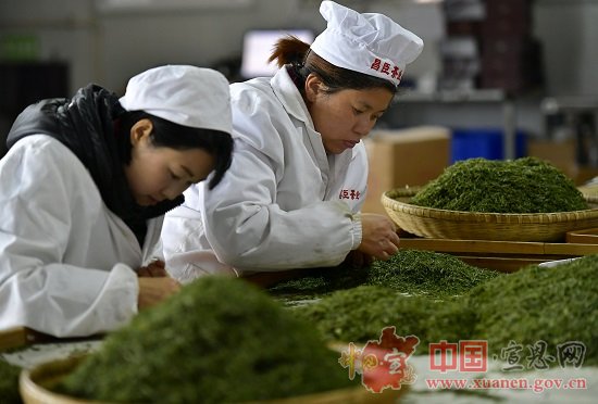 【茶旅群英汇·浪漫宣恩情】以茶的名义，与旅游相遇