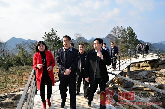  省森防指第13督办组到宣恩督办森林防火工作 