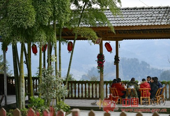【茶旅群英汇·浪漫宣恩情】以茶的名义，与旅游相遇